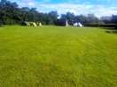 Lush green camping for all ages.