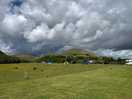 Camp site