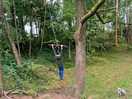 Hubby loved the swing