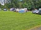 Family field