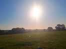Veiw