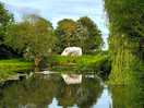 View of our pitch over the lake