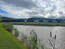Beautiful views across the fishing pool