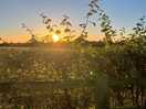 Autumn sunrise over the site