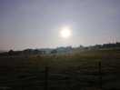 Lovely sunrise