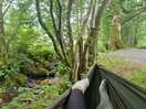 View of stream by decked pitch