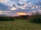 Scenery