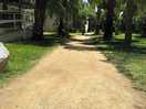 Camino