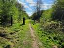 A picture of a footpath from the campsite. it was a beautiful sunny day with blue skies