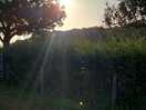 Sunrise3