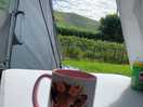 Nice cuppa in the morning