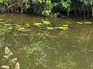 Lovely canal walks