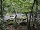 Beautiful river