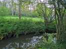 Stream through the fields