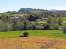 Local view