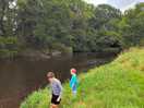 Teifi
