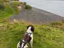 Beautiful llyn alwen