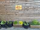 Herb selection