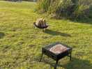 Lovely quiet location, plenty of space