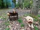 Fire pit