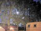 The full moon peaking through the trees on site