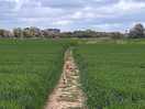 Footpath