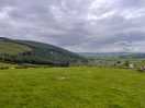 Near by walk