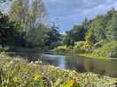 This was the pond on the walk on the campsite. so beautiful.