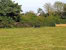 Lovely well kept lawns