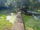 Bridge to little island in middle of pond