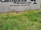 Cairngorms national park