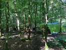 Secluded pitch in amungst the trees