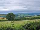 Beautiful view from the dog play area