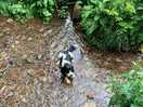 Ted cooling off in a steam