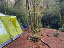 Camp