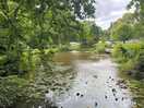 The fishing pond