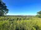 The meadow
