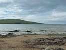 Bay
