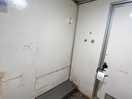 The single toilet