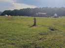 The cool kneeling stone in the centre of the field