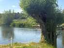River view