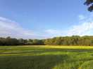 Field near campsite after a small walk