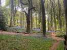 Nice walk