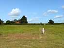Lots of room to play in central meadow