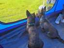 Keeping on eye in whats going on