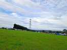 Field at back of pitches