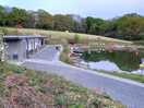 Great site good facilities nice and private with locked gate 24 hr access to toilet and showers