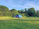 Large sheltered pitches