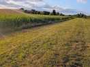Walk from campsite
