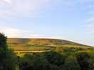 Late afternoon sun on nine barrow down.